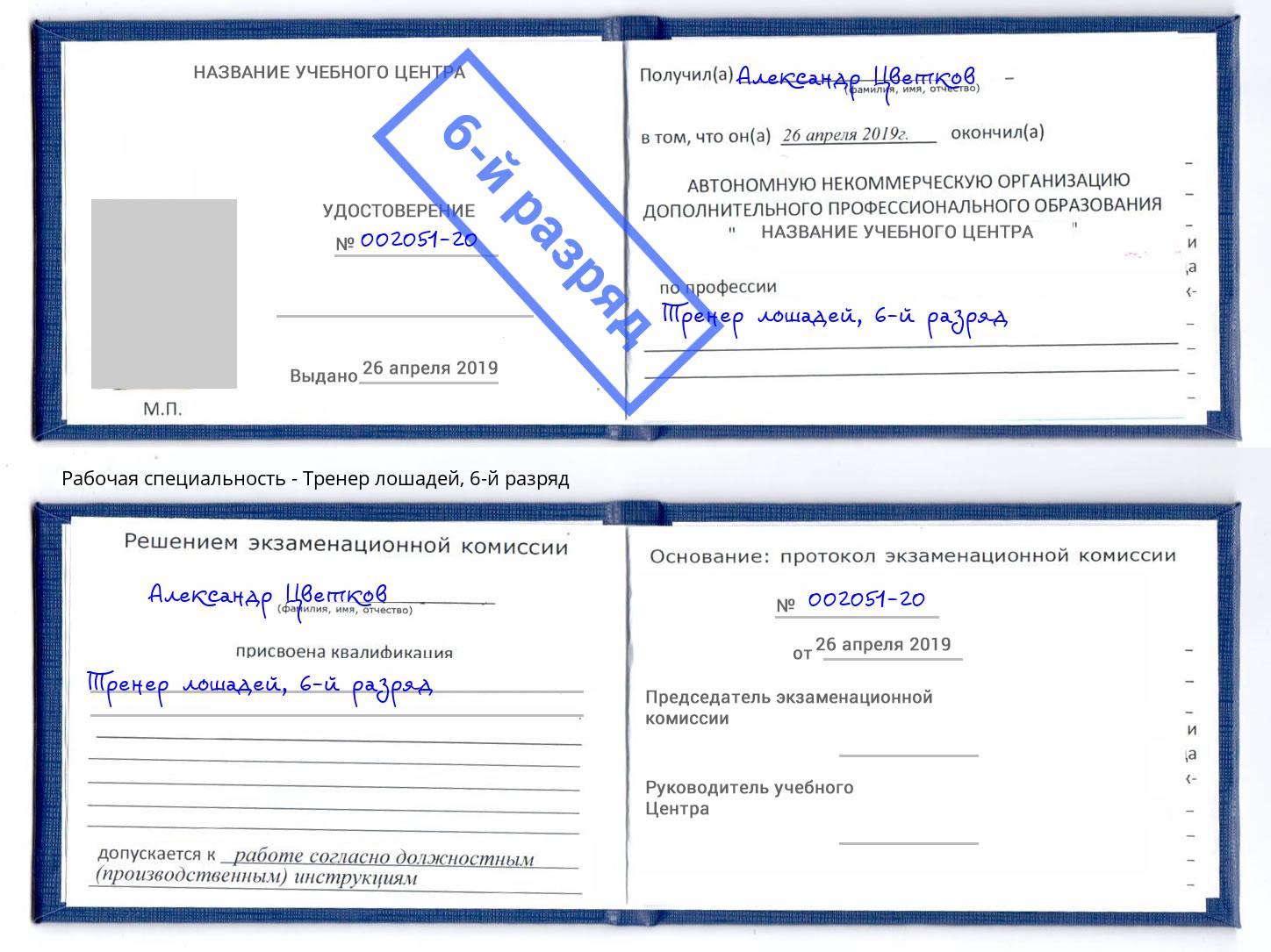 корочка 6-й разряд Тренер лошадей Красноярск
